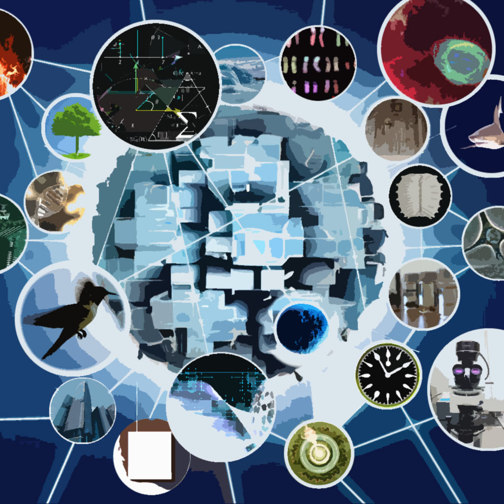 III.複雑適応系進化学研究部門